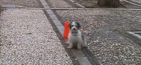 Jacobo Medina Martín